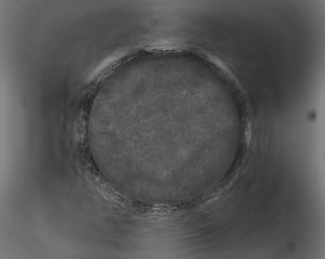 X0000116571350200912311945