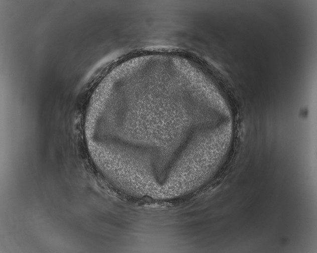 X0000116571351200912311945