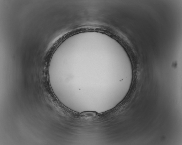 X0000116571352200912311945