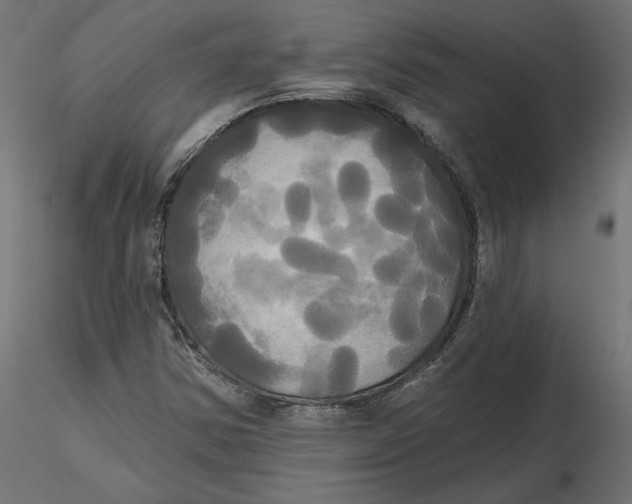 X0000116571354200912311945