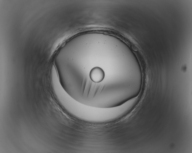 X0000116571357200912311945