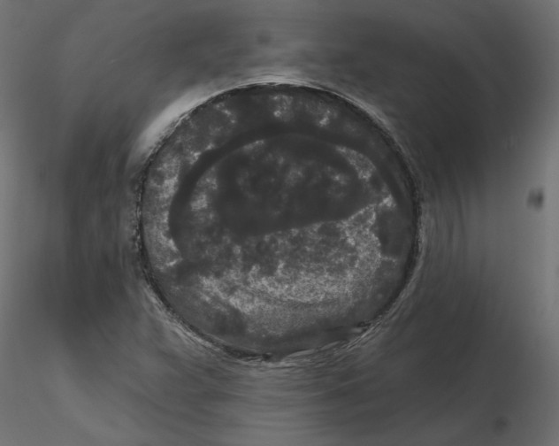 X0000116571359200912311945