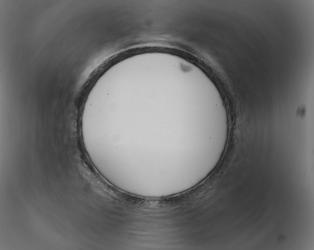 X0000116571360200912311945