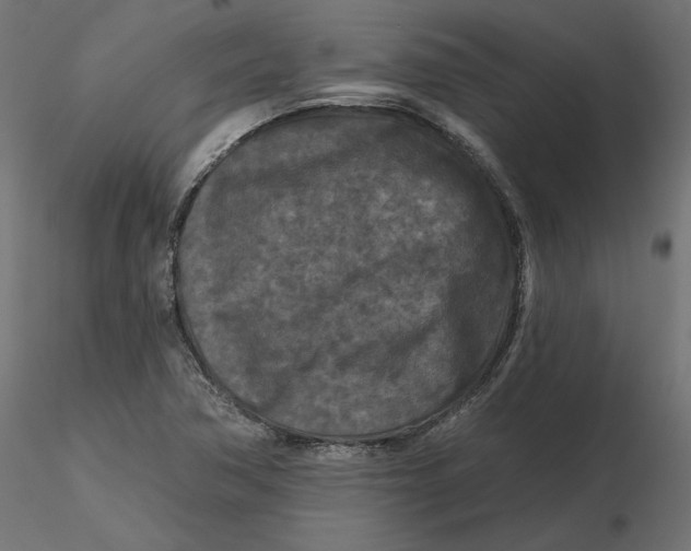 X0000116571362200912311945