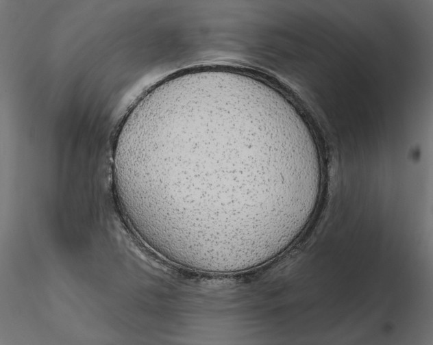 X0000116571363200912311945