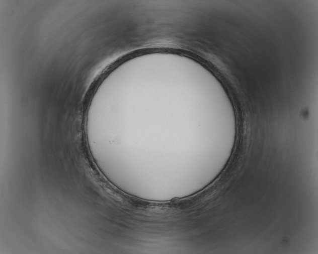 X0000116571364200912311944