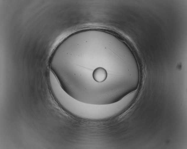 X0000116571365200912311944