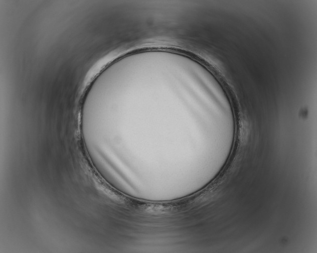 X0000116571366200912311944