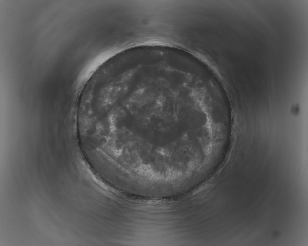 X0000116571367200912311944