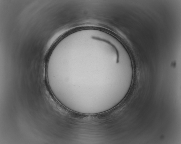 X0000116571368200912311944