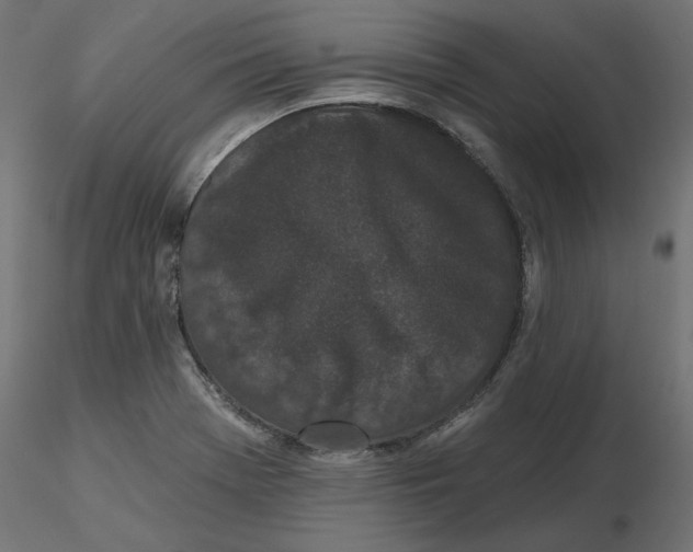 X0000116571369200912311944