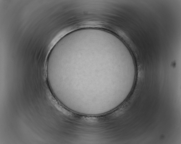 X0000116571370200912311944