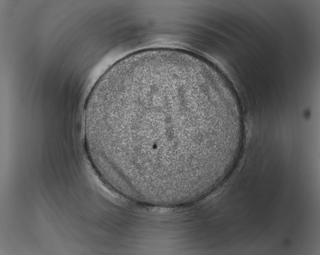 X0000116571371200912311944