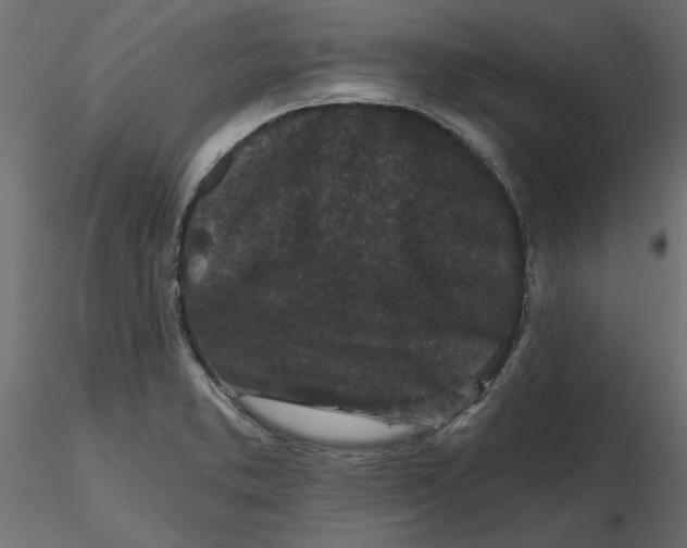 X0000116571373200912311944