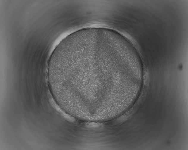 X0000116571374200912311944