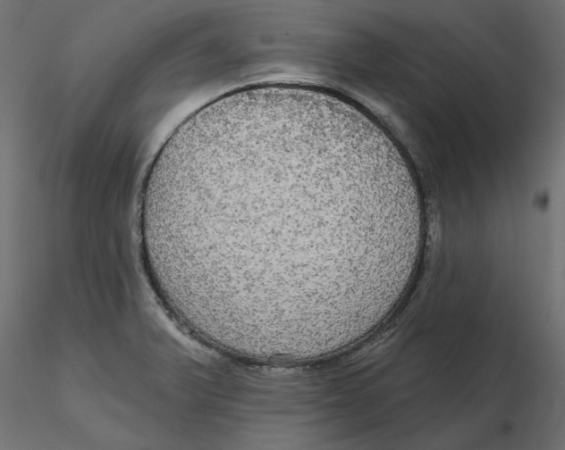 X0000116571375200912311944