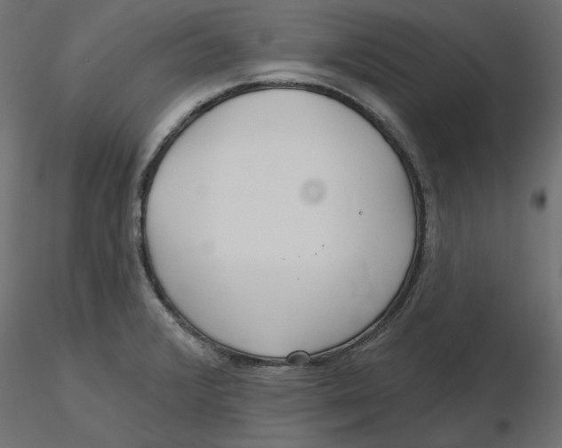 X0000116571376200912311944