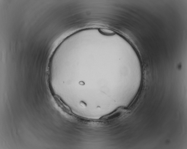 X0000116571379200912311944