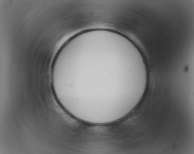 X0000116571380200912311944