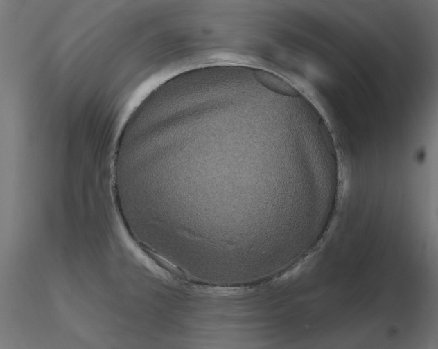 X0000116571381200912311944