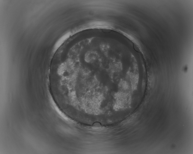 X0000116571383200912311944