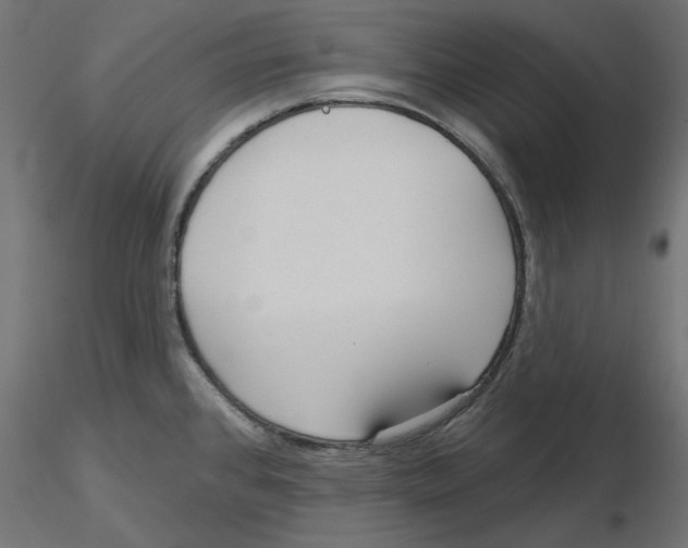 X0000116571384200912311944