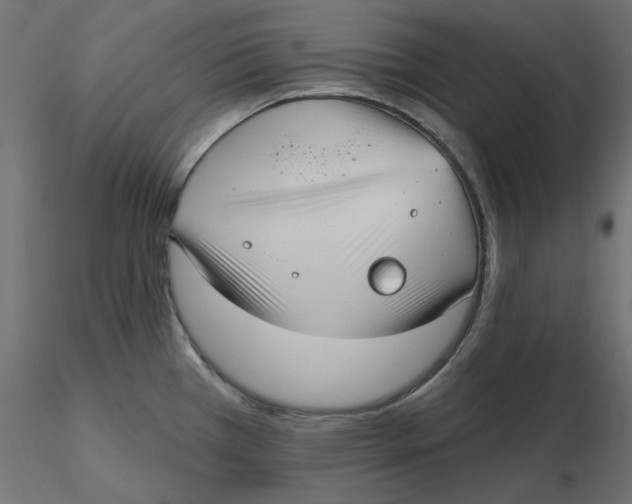 X0000116571385200912311944