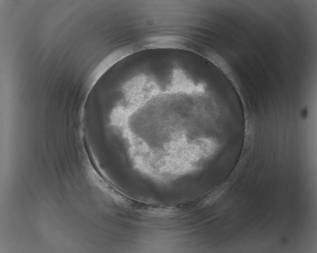 X0000116571386200912311944