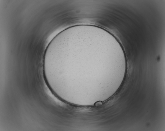 X0000116571387200912311944