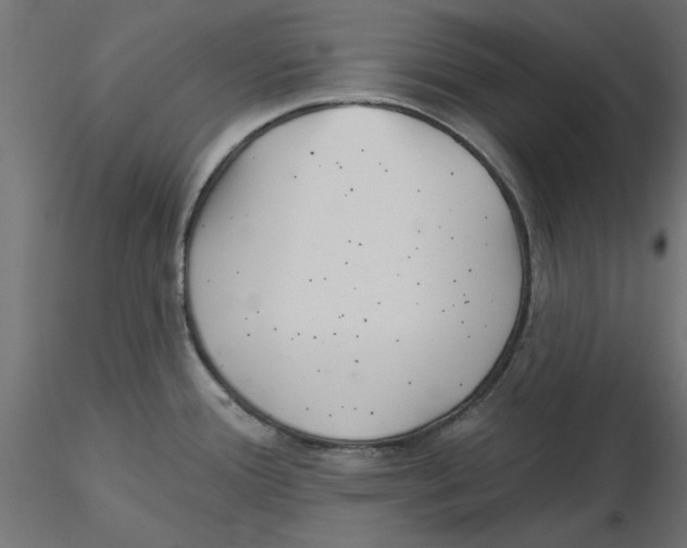 X0000116571388200912311944