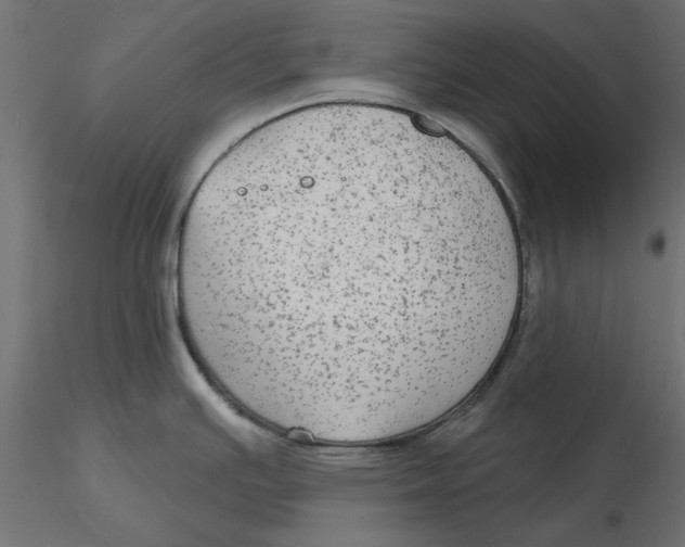 X0000116571391200912311944