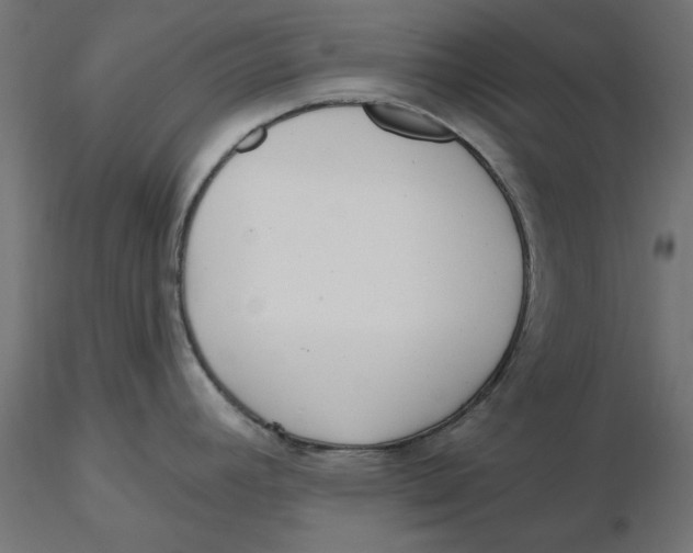 X0000116571392200912311944