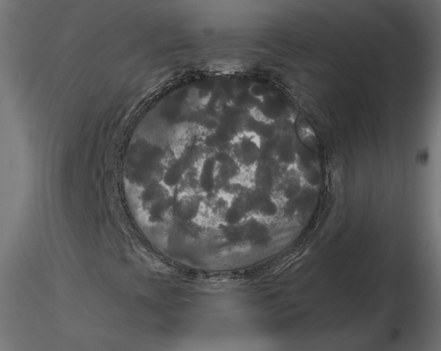 X0000116571393200912311943