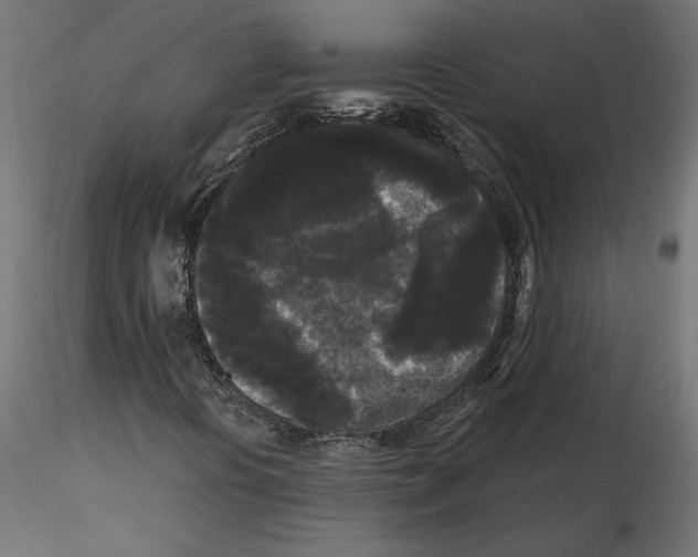 X0000116571394200912311943