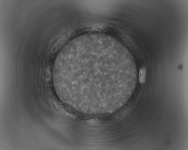 X0000116571395200912311943