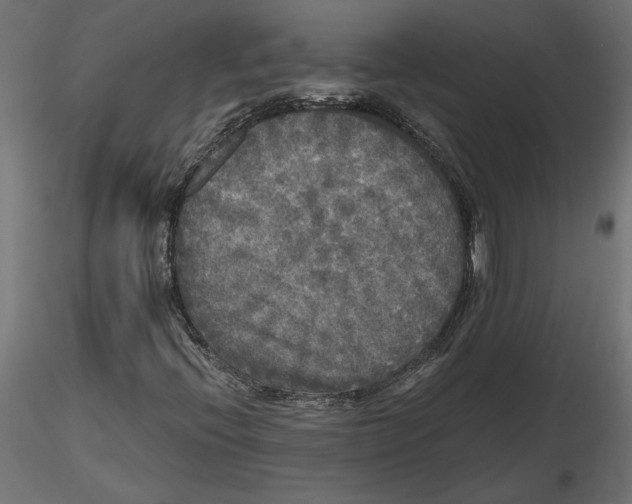 X0000116571396200912311943