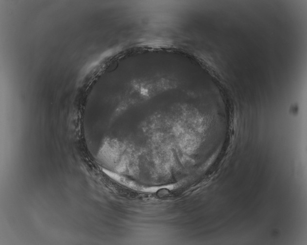 X0000116571398200912311944