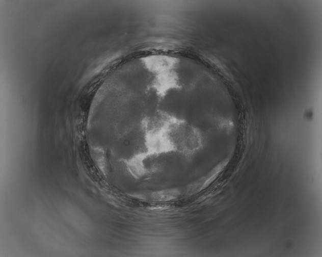 X0000116571399200912311944