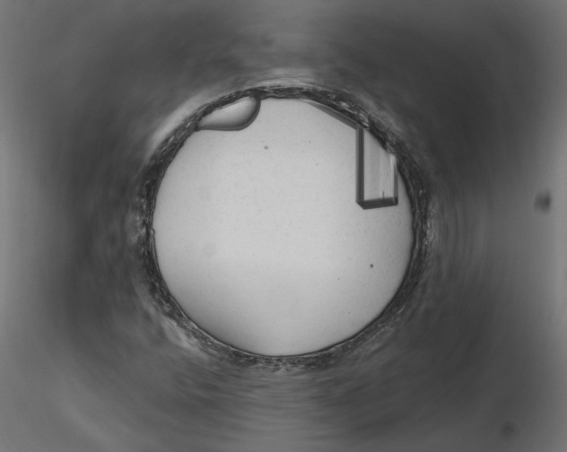 X0000116571400200912311944