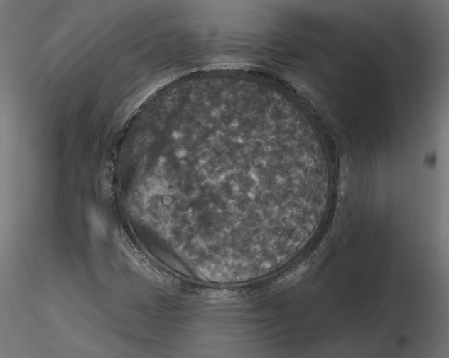 X0000116571401200912311944