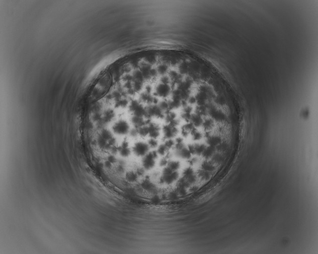 X0000116571402200912311944