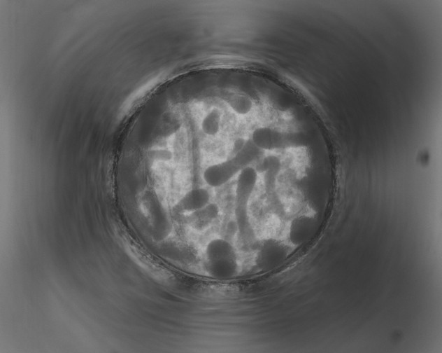 X0000116571403200912311944