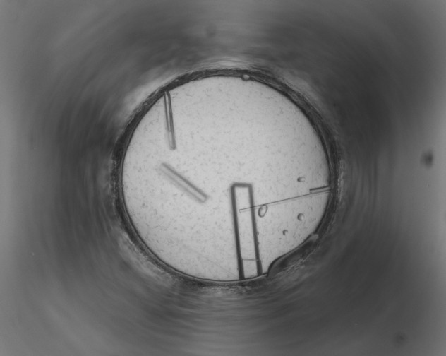 X0000116571404200912311944