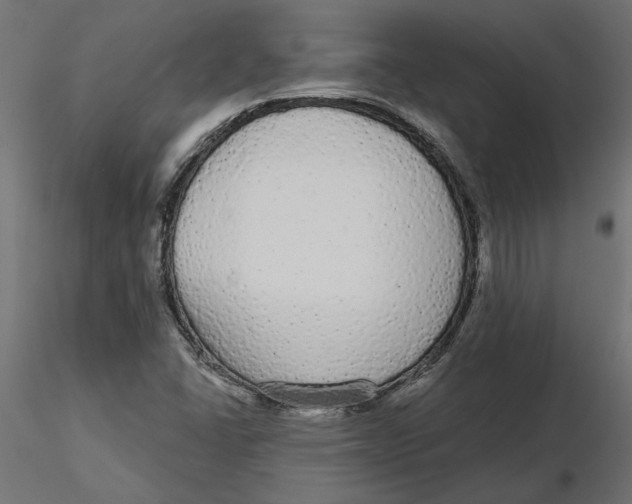 X0000116571406200912311944