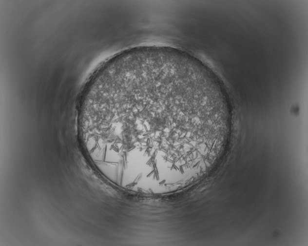 X0000116571408200912311944