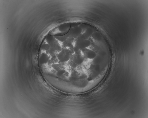 X0000116571409200912311944