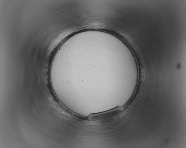 X0000116571410200912311944