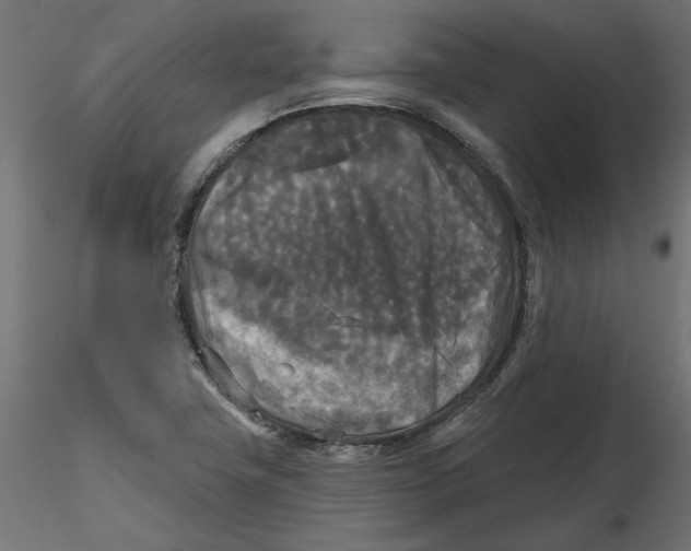 X0000116571411200912311944