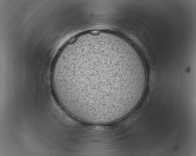 X0000116571412200912311944