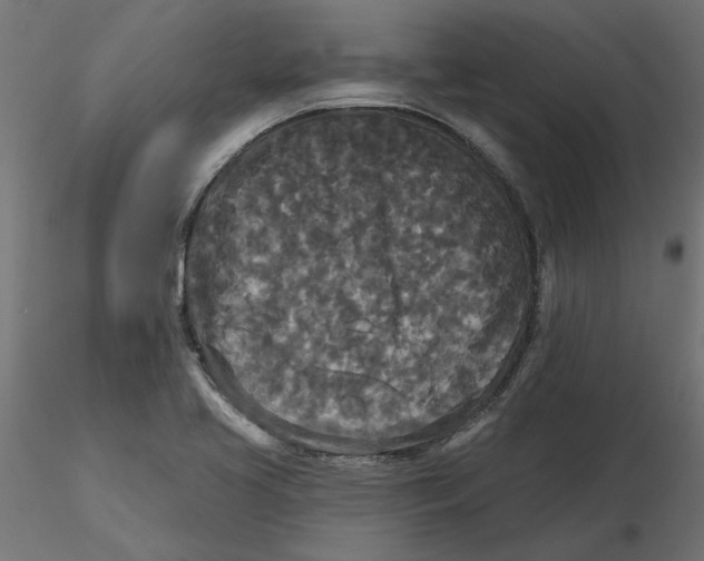 X0000116571413200912311944